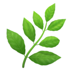 Leaf